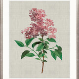 Bella Floral Beauty V