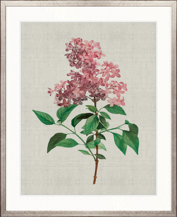 Bella Floral Beauty V