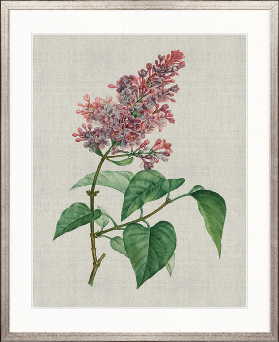 Bella Floral Beauty VI