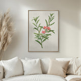 Bella Floral Beauty VII (Canvas)
