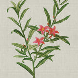 Bella Floral Beauty VII (Canvas)