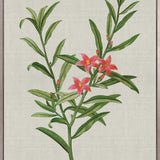 Bella Floral Beauty VII (Canvas)