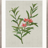 Bella Floral Beauty VII