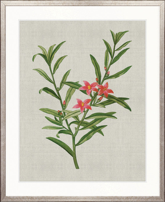 Bella Floral Beauty VII