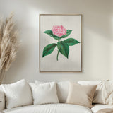 Bella Floral Beauty IX (Canvas)
