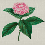 Bella Floral Beauty IX (Canvas)