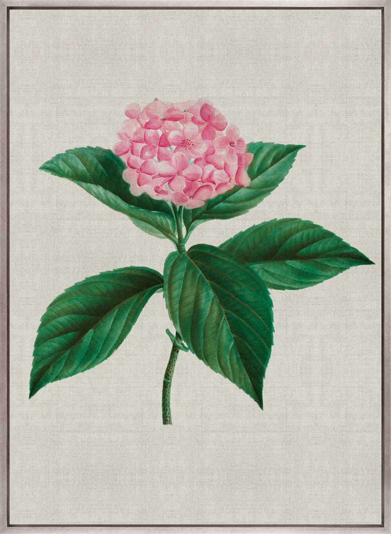 Bella Floral Beauty IX (Canvas)