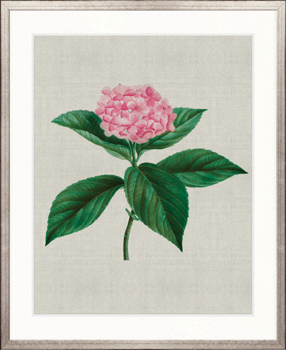 Bella Floral Beauty IX