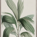 Bellevardi Tropic II (Canvas)