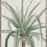 Bellevardi Tropic III (Canvas)