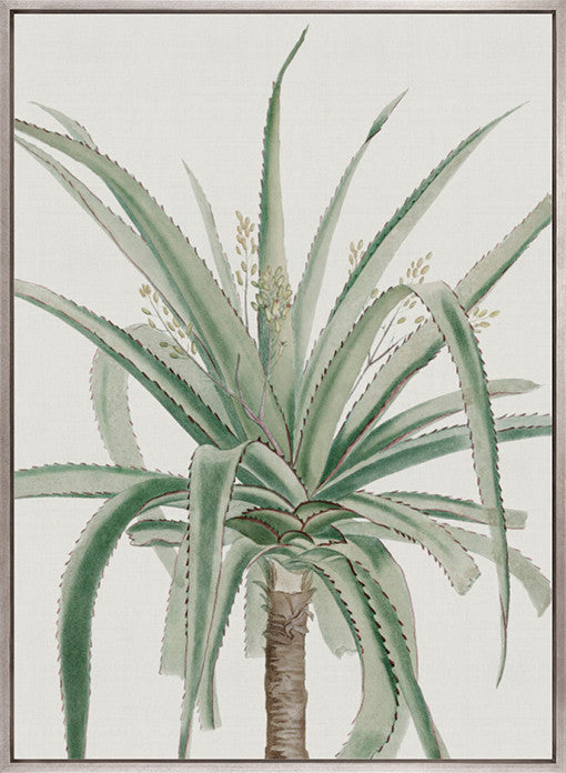 Bellevardi Tropic III (Canvas)