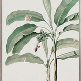 Bellevardi Tropic IV (Canvas)