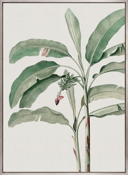 Bellevardi Tropic IV (Canvas)