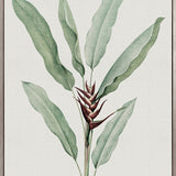 Bellevardi Tropic VI (Canvas)
