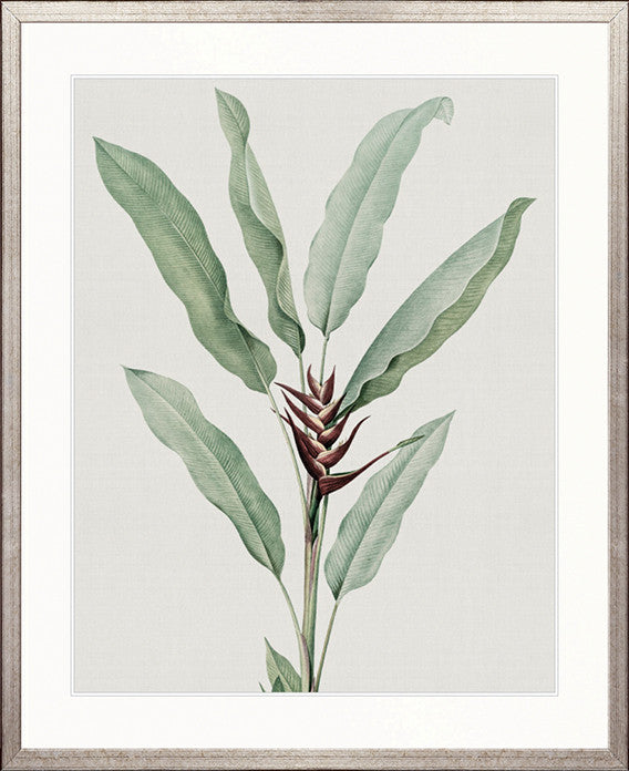 Bellevardi Tropic VI