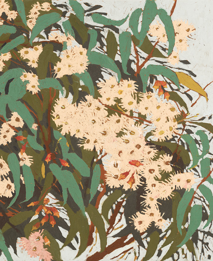 Blushwood Natives I