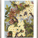 Blushwood Natives II Small (465mm W x 560mm H) / Standard Clear Glass