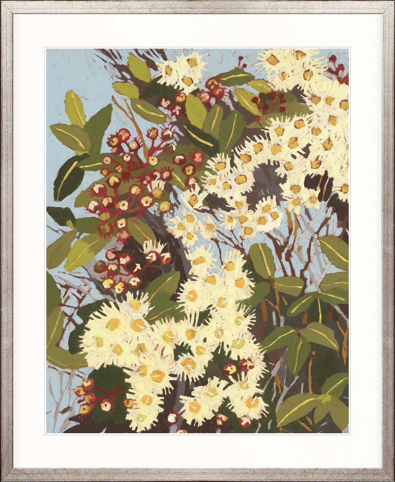 Blushwood Natives II