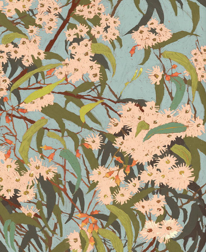 Blushwood Natives III