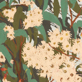 Blushwood Natives IV Small (550mm W x 550mm H) / Standard Clear Glass