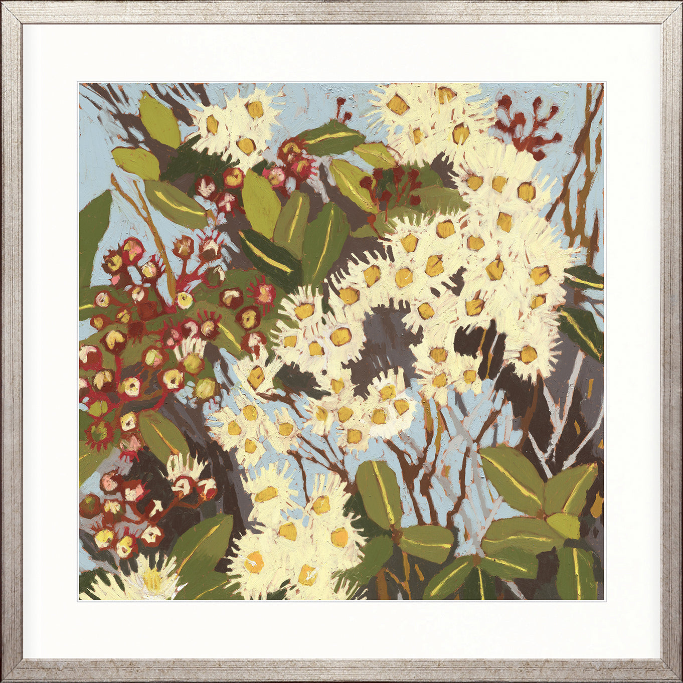 Blushwood Natives V