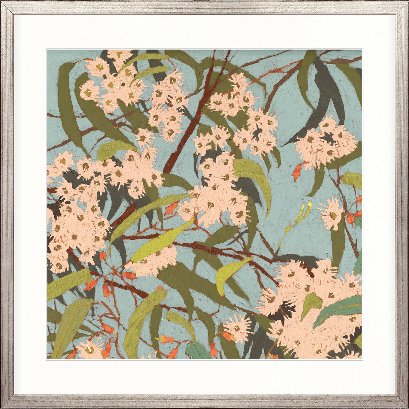 Blushwood Natives VI