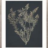 Luxe Foliage I