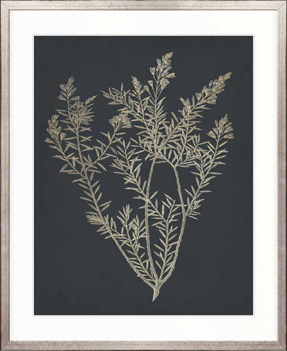 Luxe Foliage I