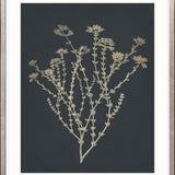 Luxe Foliage III