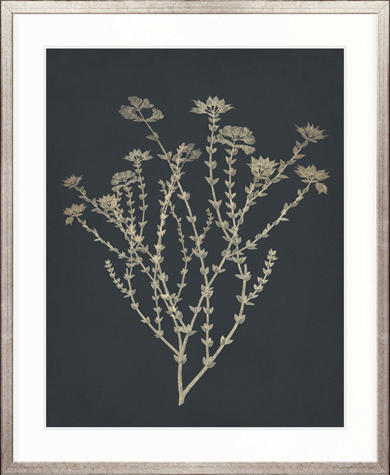 Luxe Foliage III