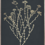 Luxe Foliage III (Canvas)