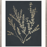 Luxe Foliage V