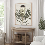 Botanist Specimen I (Canvas)