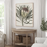 Botanist Specimen II (Canvas)