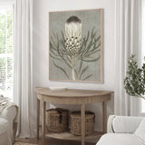 Botanist Specimen IV (Canvas)