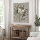 Botanist Specimen V (Canvas)