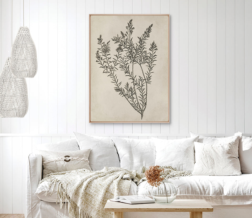 Botanical Splendour I (Canvas)