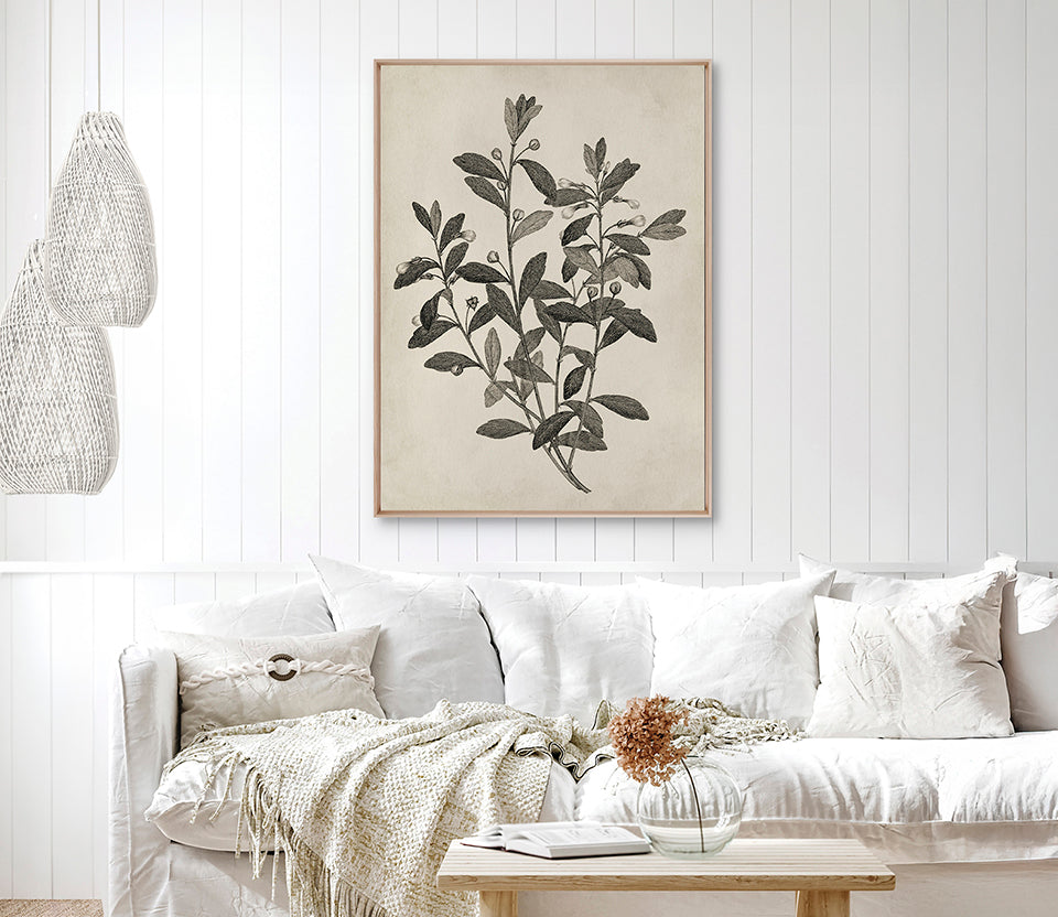 Botanical Splendour II (Canvas)
