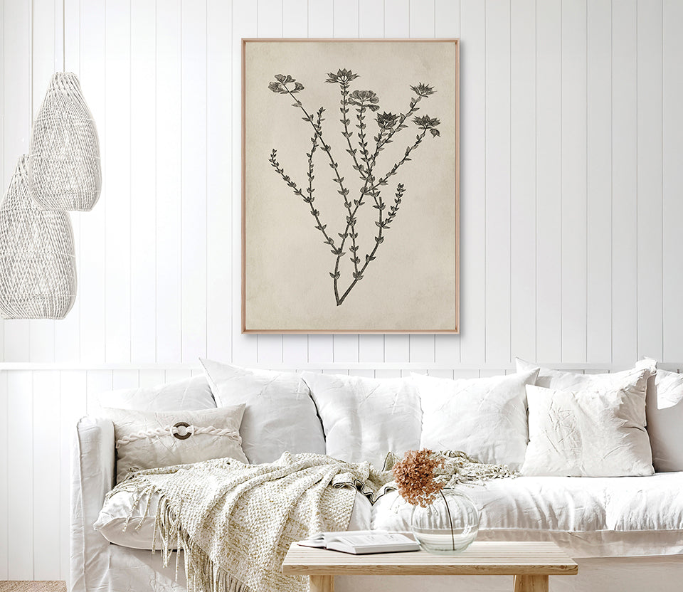 Botanical Splendour III (Canvas)