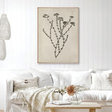 Botanical Splendour III (Canvas)