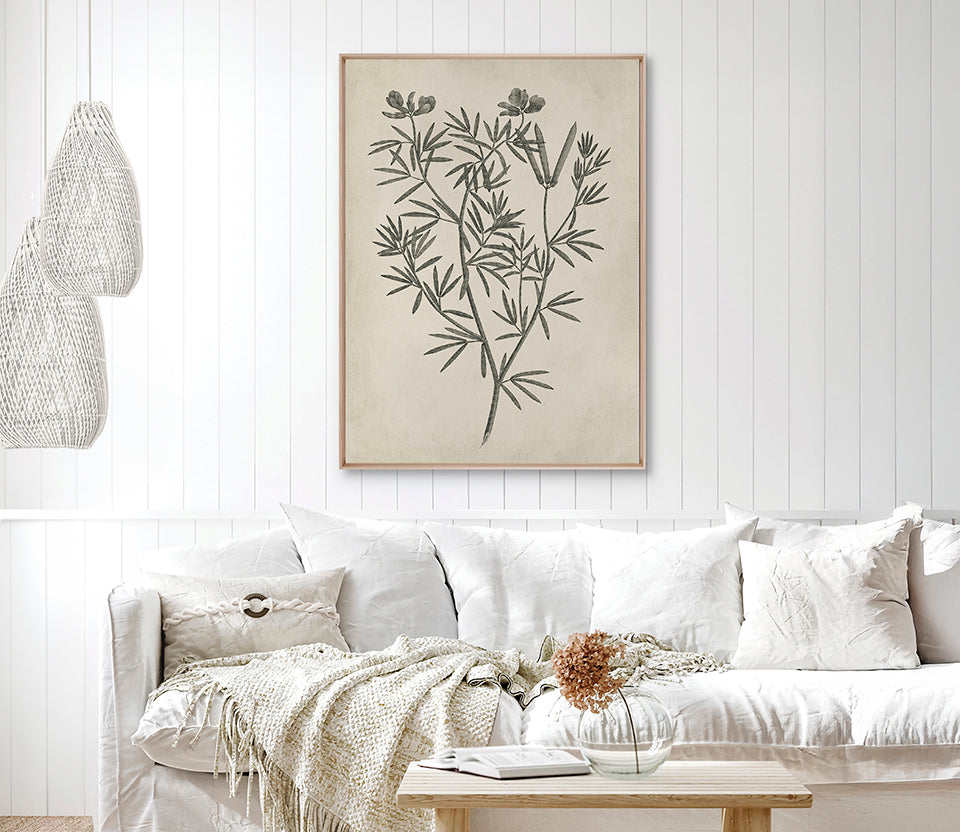 Botanical Splendour IV (Canvas)