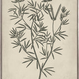 Botanical Splendour IV (Canvas)