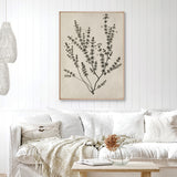 Botanical Splendour V (Canvas)