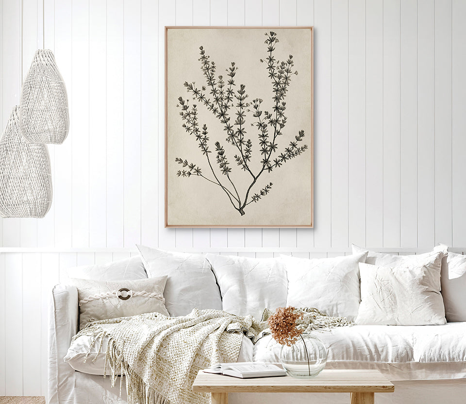 Botanical Splendour V (Canvas)
