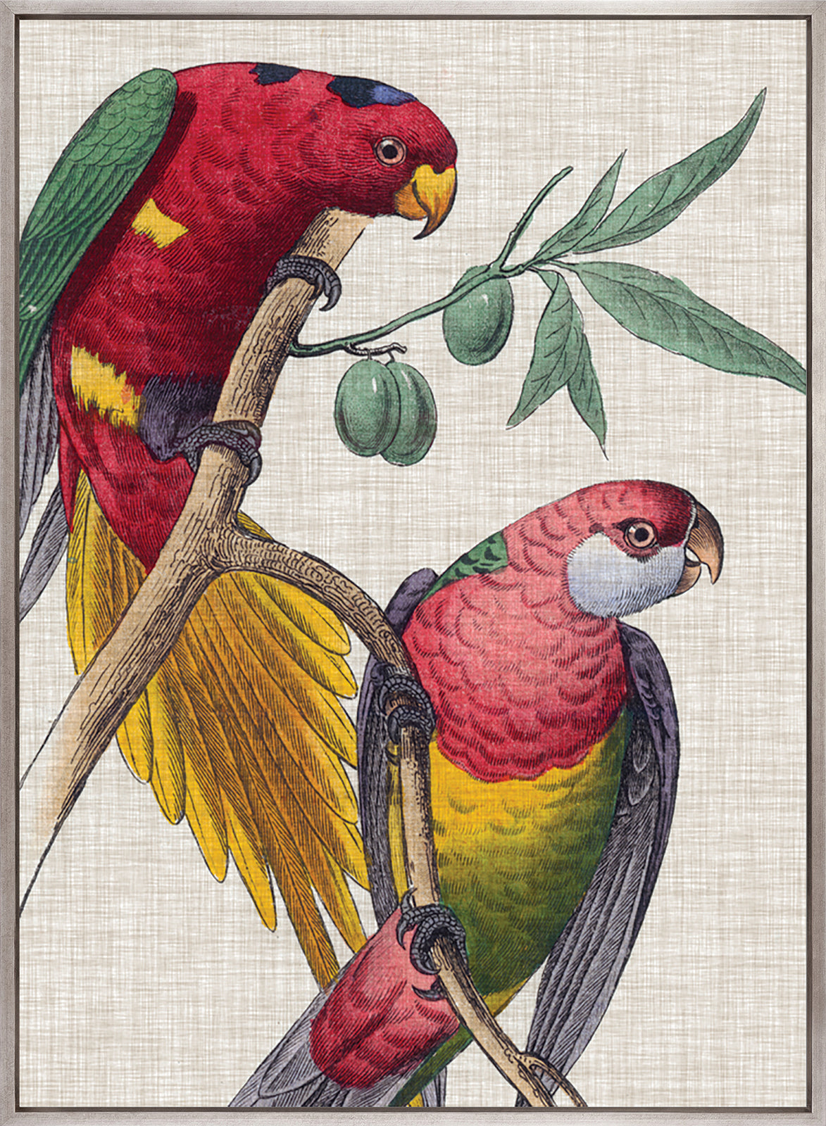 Exotic Parrots I (Canvas)