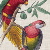 Exotic Parrots I (Canvas) Large (903mm W x 1109mm H)