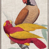 Exotic Parrots II (Canvas) Large (903mm W x 1109mm H)