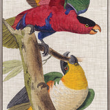 Exotic Parrots III (Canvas) Large (903mm W x 1109mm H)