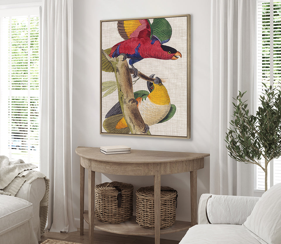 Exotic Parrots III (Canvas)