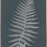 Brenford Fern I (Canvas)
